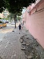 IMG_1275
