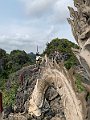 IMG_5618