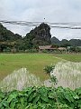 IMG_5686