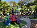 IMG_1269