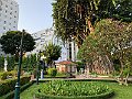 IMG_1377(1)