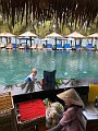 IMG_7698