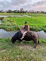IMG_7945