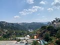 IMG_8321