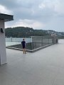 IMG_8239