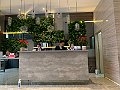 IMG_8245