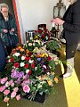 IMG_3345