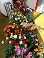 IMG_3347