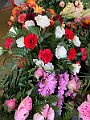 IMG_3348