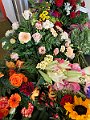 IMG_3349