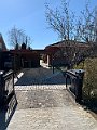 IMG_4019 (2)