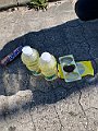 IMG_4025 (2)