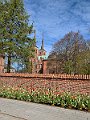 IMG_4533 (2)