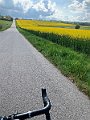 IMG_4775