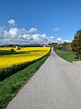 IMG_4776 (2)
