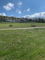 IMG_4777 (2)