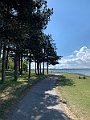 IMG_4781 (2)