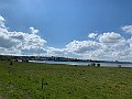 IMG_4786