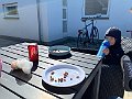 IMG_4618