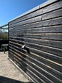 IMG_4626