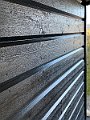 IMG_4698