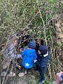 IMG_5387 (2)