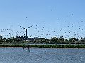 IMG_5683 (2)