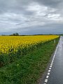 IMG_4907