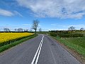 IMG_4913 (2)