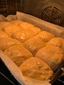 IMG_5192