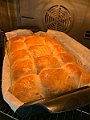 IMG_5195