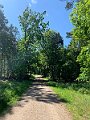 IMG_6370