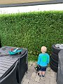 IMG_6832