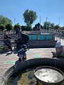 IMG_7046