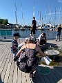 IMG_7049
