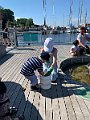 IMG_7050