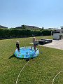 IMG_7011