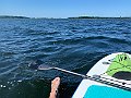IMG_6900