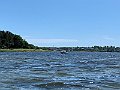 IMG_6906