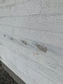 IMG_6432 (2)