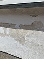 IMG_6435