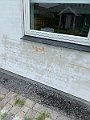 IMG_7068