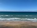 IMG_7600
