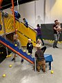 IMG_7321
