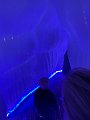 IMG_7337
