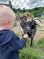 IMG_7398