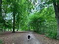 IMG_8242