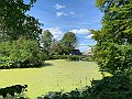 IMG_8245