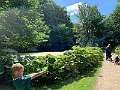 IMG_8250