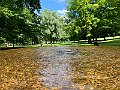 IMG_8257